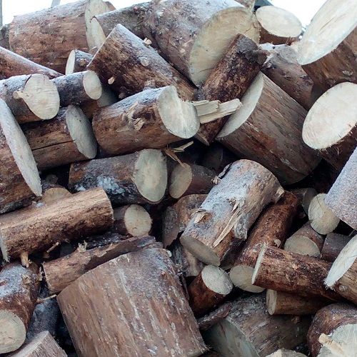 Лесозаготовка Ленинградская область дрова оптом от производителя Питер